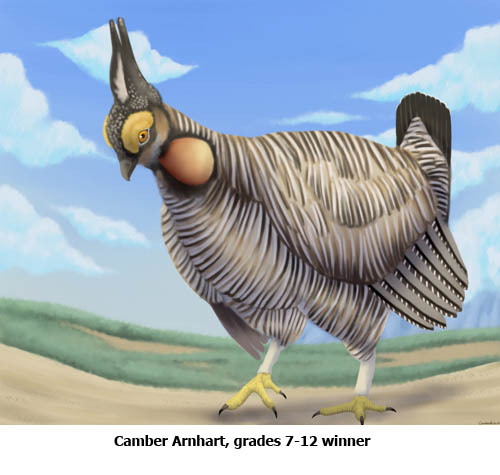 Camber Arnhart art - NMDGF Archive News: Lesser Prairie Chicken Festival poster contest winners chosen