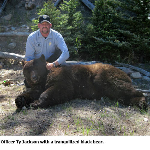 Ty Jackson and bear - NMDGF Archive News: Cimarron Conservation Officer Jackson named Wildlife Officer of the Year