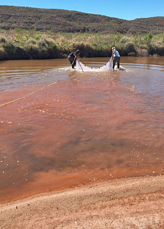 Share with Wildlife, New Mexico – Project Highlight: Tracking Elusive Fish