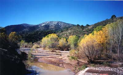 San Francisco River in the Gila National Forest - Low-Elevation Hunts for Bighorn Sheep - New Mexico Game & Fish