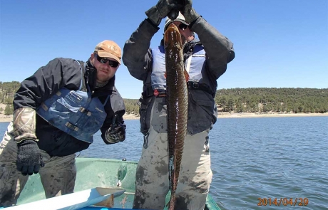 and fish nm fisheries management new mexico department of fish and fish nm fisheries management new mexico department of fish
