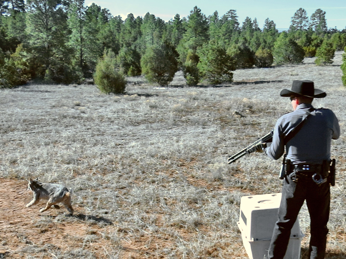 and fish nm july officer of the month new mexico department of and fish nm july officer of the month new mexico department of