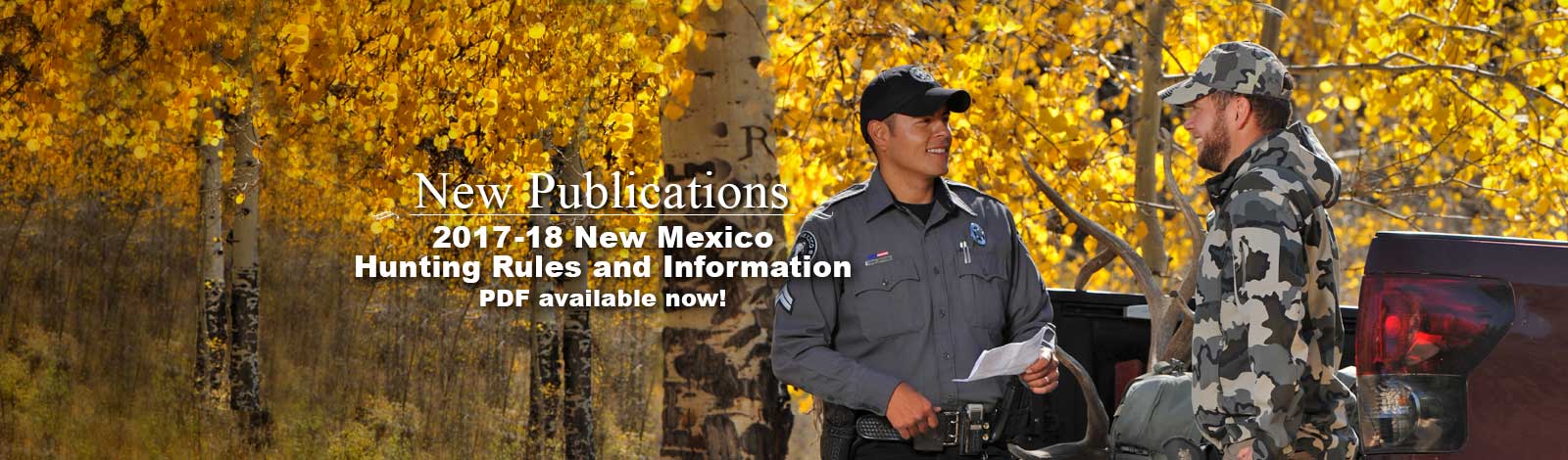 How can you view New Mexico public records?