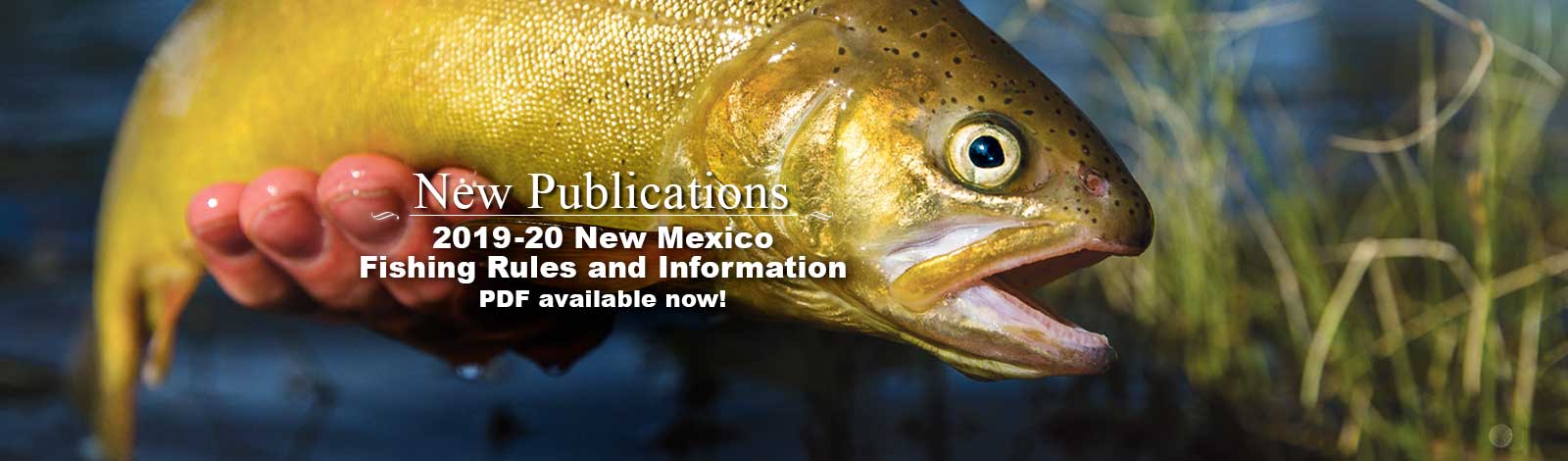 Court Finds New Mexicos Funding System >> Nmdgf New Mexico Department Of Game Fish Court Finds New Mexicos Funding System >> Nmdgf New Mexico Department Of Game Fish