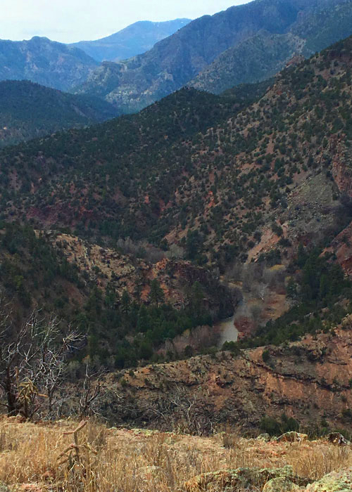 Protecting Springsnails- Project Highlight- Share with Wildlife, New Mexico Department of Game and Fish
