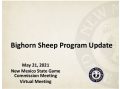 Icon of 12 Update on Bighorn Sheep Management in New Mexico