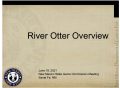 Icon of 8 River Otter Overview