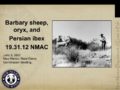 Icon of 13 Agenda Barbary Sheep, Oryx and Persian Ibex Rule 19.31.12 Presentation Draft