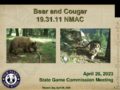 Icon of 16 Bear And Cougar Rule