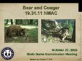 Icon of 7 Agenda Item Bear And Cougar