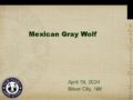 Icon of Agenda Item 6   Mexican Wolf Program Overview