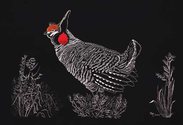 Lesser Prairie Chicken poster - NMDGF Archive News: Albuquerque artist wins Lesser Prairie Chicken Festival poster contest