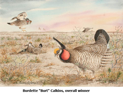Burt Calkins art - NMDGF Archive News: Lesser Prairie Chicken Festival poster contest winners chosen