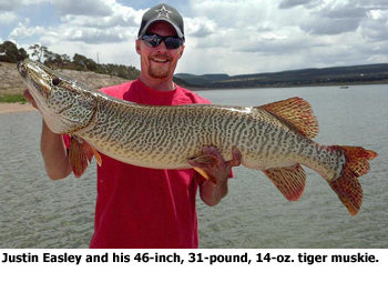 Justin Easley and his 46-inch, 31-pound, 14-oz. record tiger muskie