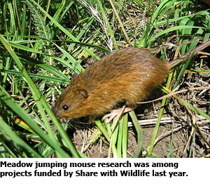 Meadow jumping mouse research was among projects funded by Share with Wildlife last year.