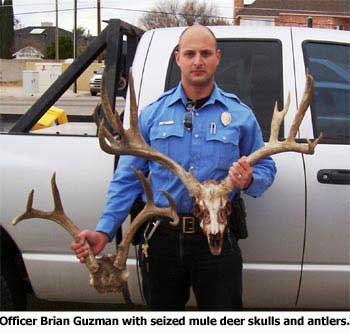 Officer and antlers - NMDGF Archive News: Accused trophy deer poachers face severe penalties 