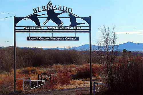 Bernardo Waterfowl Management Area - Ladd S. Gordon Waterfowl Complex - New Mexico State Game Commission