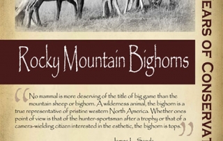Starting in the 1940s restoring Rocky Mountain bighorn sheep to the state - New Mexico Game & Fish Century of Conservation