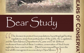 Protecting bear as game animals, 1990s - New Mexico Game & Fish Century of Conservation