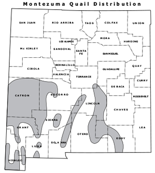 Montezuma quail distribution map - (Hunting upland game, New Mexico Department of Game and Fish)