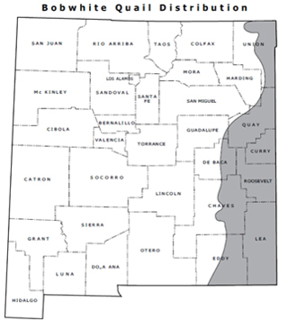 Northern bobwhite quail distribution map - (Hunting upland game, New Mexico Department of Game and Fish)