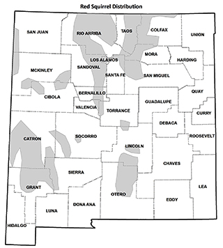 Red squirrel distribution map - (Hunting upland game, New Mexico Department of Game and Fish)