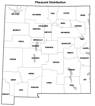 Pheasant distribution map - (Hunting upland game, New Mexico Department of Game and Fish)