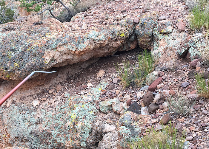 Share with Wildlife, New Mexico – Project Highlight: Gila Monsters – Enough Said!