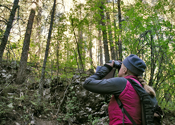 Share with Wildlife – Project Highlight: Surveying Birds in Remote Areas