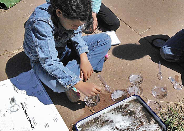 Conservation Project - Healthy Watersheds Project Highlight - Students look for stream macroinvertebrates to assess water quality - Share with Wildlife NMDGF