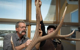 Antlers officially scored as American typical elk with a final score of 338 0/8. A minimum score for a typical elk to be considered for the All-Time Awards Book is 375.