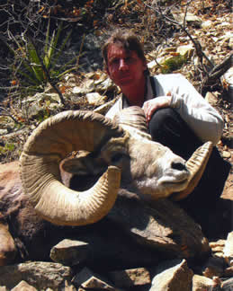 B. Neal Ainsworth, Jr. with New Mexico record Rocky Mountain bighorn sheep, taken on Taos Pueblo, in Taos County in 2005. (Photograph courtesy of B. Neal Ainsworth, Jr.)