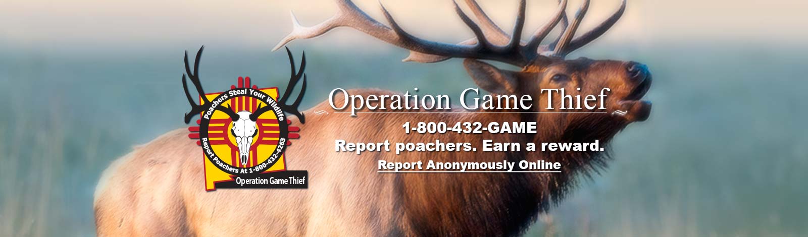 Report poachers at 1-800-432-4263 to New Mexico Game and Fish. Poachers Steal Your Wildlife - Contact Operation Game Thief.