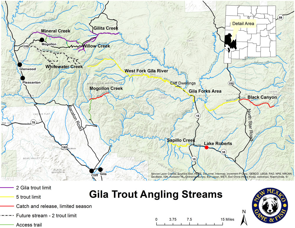 Gila Trout Angling Streams Map showing stocked and wild fish populations - New Mexico Game and Fish