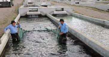 Los Ojos Fish Hatchery near Chama - New Mexico Department of Game & Fish