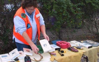 Wildlife identification (such as whitetail antler or track casts from elk, moose, and bear) is key for responsible, ethical hunters in New Mexico.