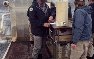 ANew Mexico Game and Fish biologist using the liquid nitrogen apparatus to freeze brand catfish.