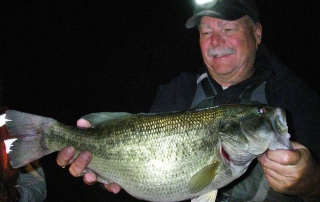 Nice sized largemouth bass captured during a population survey at Bill Evans Lake - (New Mexico Game and Fish).