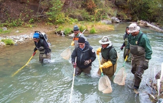 New Mexico Game and Fish biologists conducting a electrofishing survey with the Carson National Forest on the Red River.