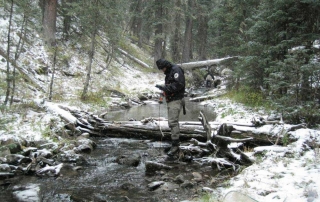 New Mexico Game and Fish biologist reading water quality measurements on a mountain stream.