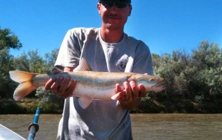 Colorado pikeminnow captured during an electrofishing survey in the San Juan - (New Mexico Game and Fish).