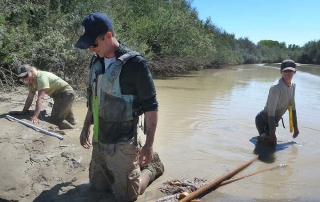 New Mexico Game and Fish biologists trudging through the mud to conduct a seining survey.