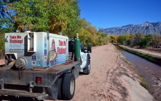 Trout are stocked every week from November through March with 2,400 going into the ponds at Tingley Beach and another 1,000 into the drains.