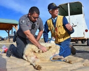 NMDGF Conservation Officer of the Month Dominic McCarthy, March 2016