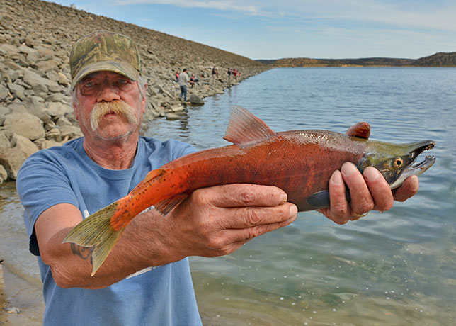 Salmon Snagging at Heron Lake, New Mexico - New Mexico Department of Game &  Fish