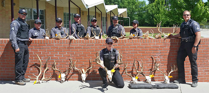 New Mexico Department of Game and Fish, News Release, June 21, 2017: Officers seize 17 illegal game animal heads during multiple search warrants in Farmington.