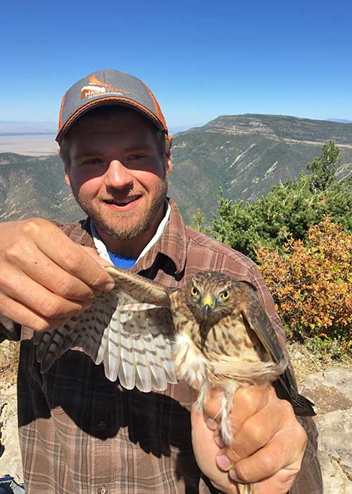 Share with Wildlife, New Mexico – Project Highlight: Raptor Migration Surveys
