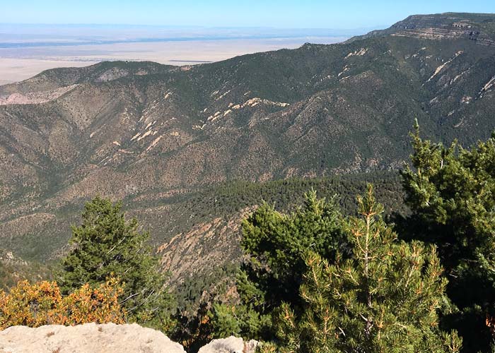 Share with Wildlife, New Mexico – Project Highlight: Raptor Migration Surveys