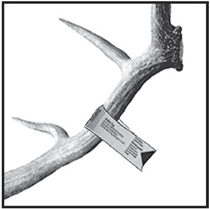 Antler Tagging Instructions, Hunting, Big Game Rules, New Mexico Department of Game and Fish