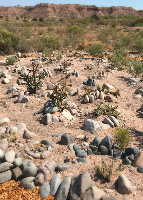 Share with Wildlife, New Mexico – Project Highlight: Pollinators and Other Wildlife